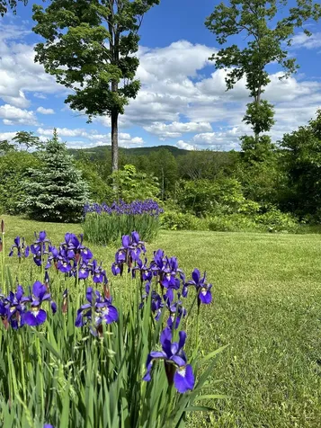 161 Concord Road Keene NH 03431