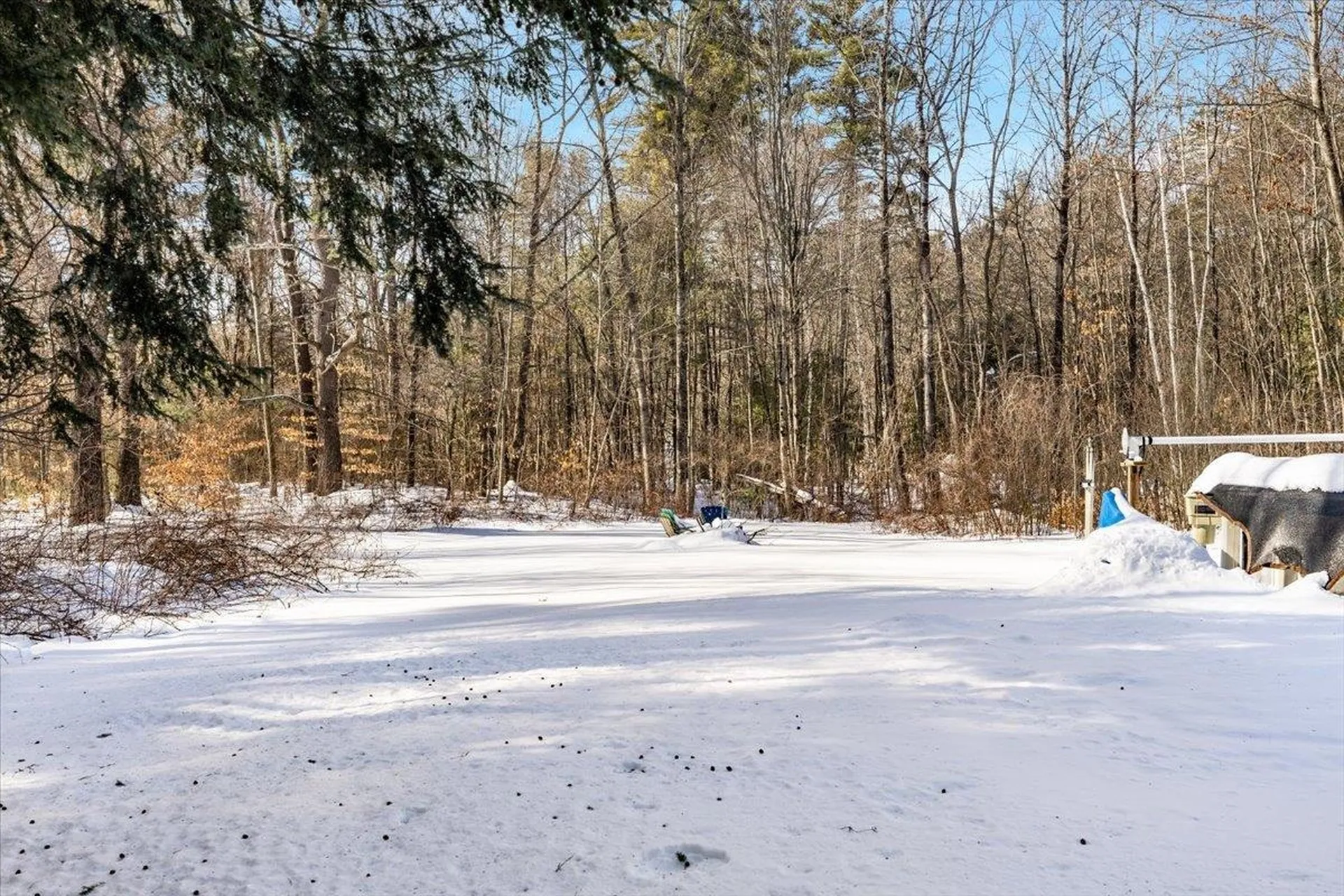 29 Marion Street Goffstown NH 03045