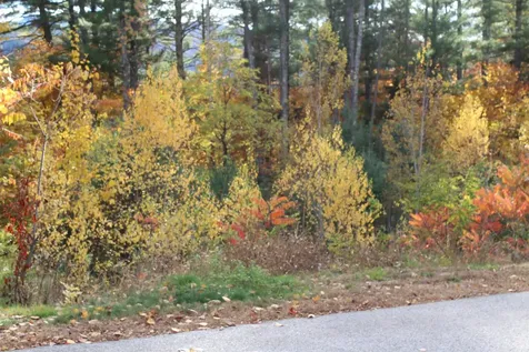 3 Beechwoods Drive Bartlett NH 03845