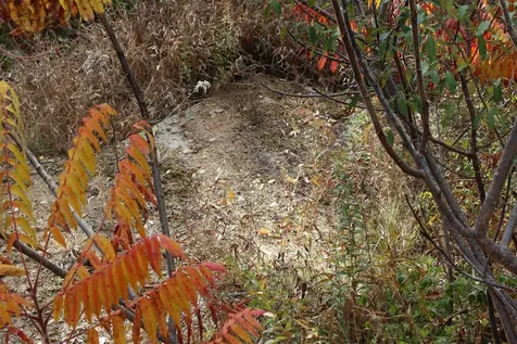 3 Beechwoods Drive Bartlett NH 03845