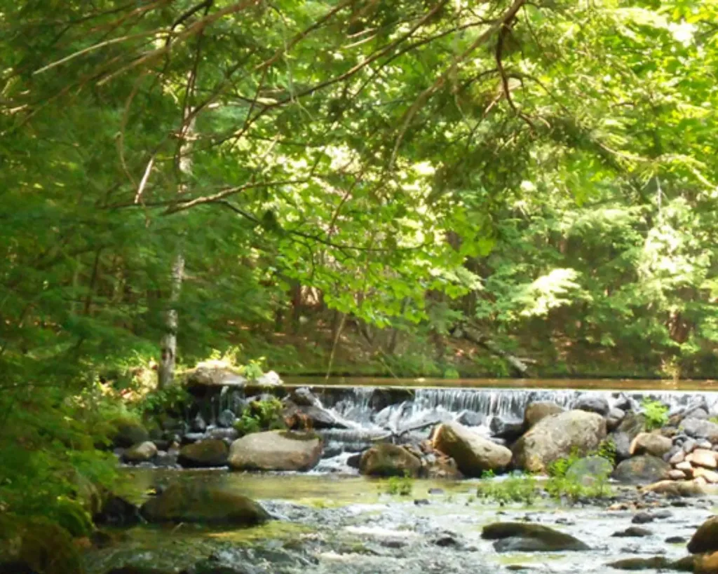 1681 Nh Route 16 Madison NH 03818