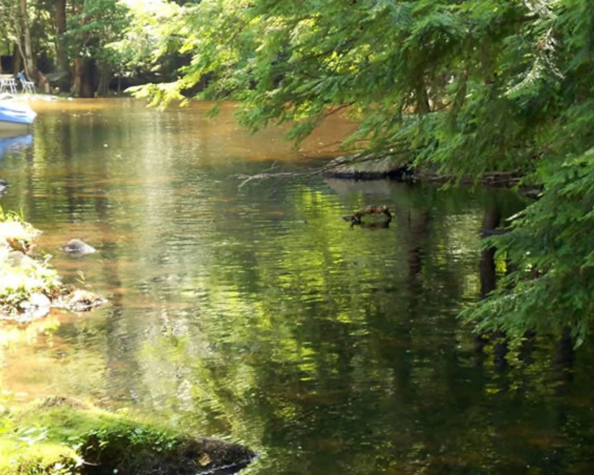 1681 Nh Route 16 Madison NH 03818