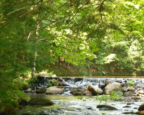 1681 Nh Route 16 Madison NH 03818