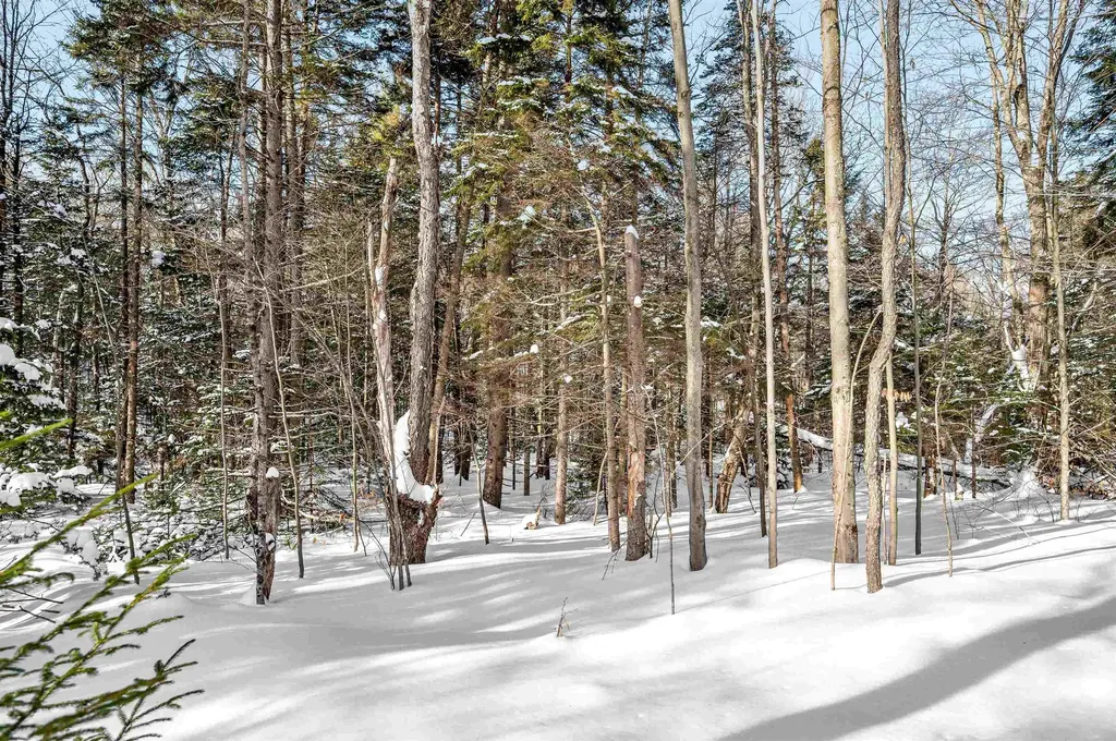 1984 West Hill Road Warren VT 05674