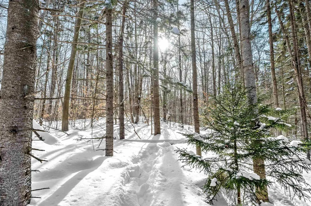 1984 West Hill Road Warren VT 05674