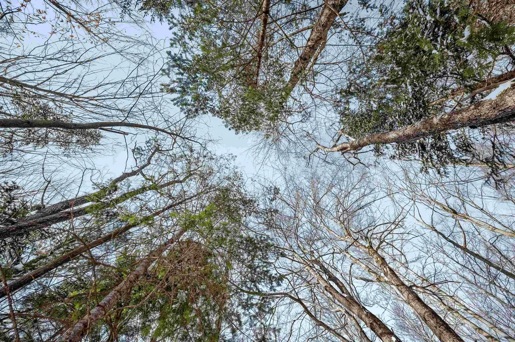 1984 West Hill Road Warren VT 05674