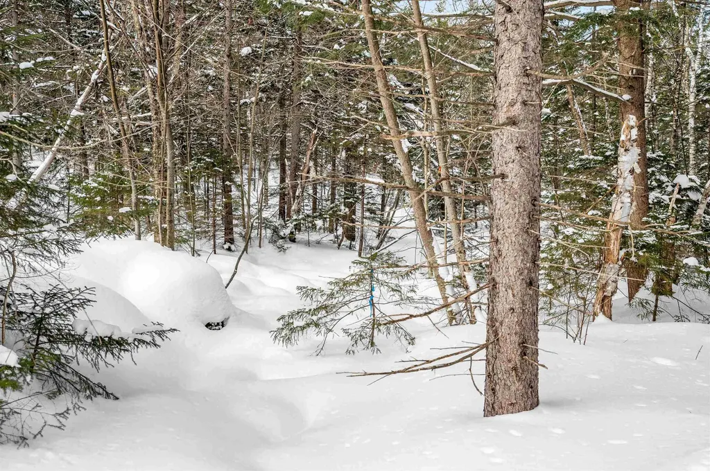 1984 West Hill Road Warren VT 05674