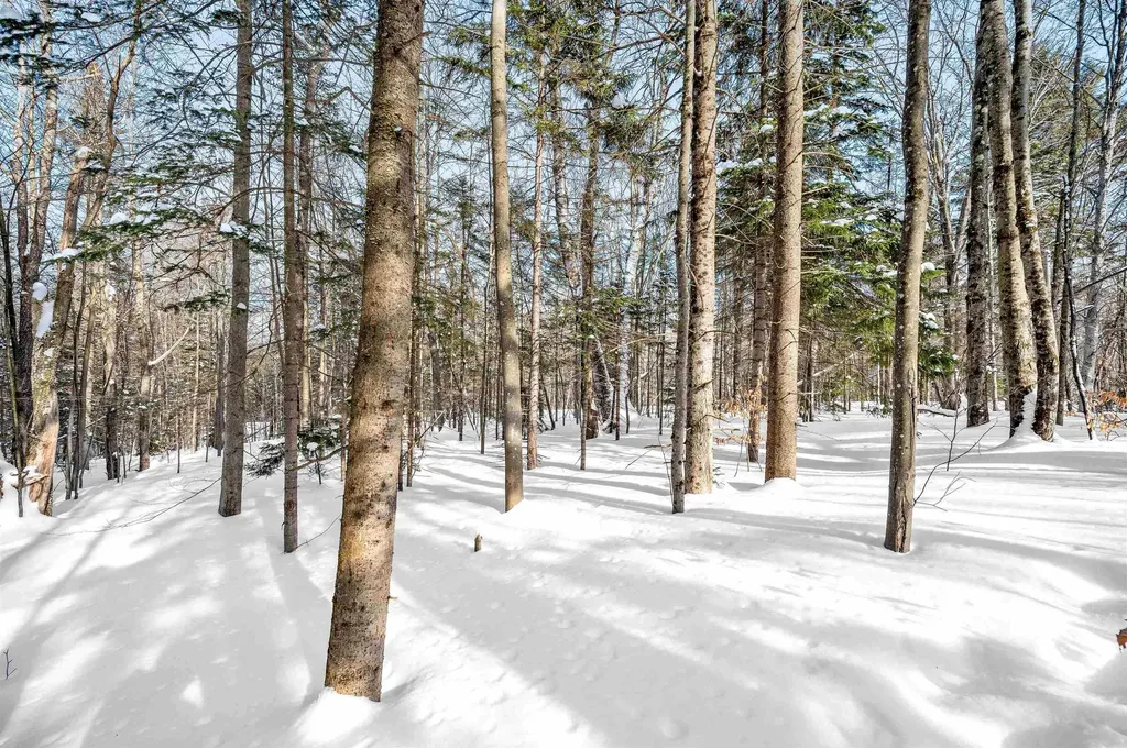 1984 West Hill Road Warren VT 05674