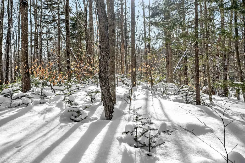 1984 West Hill Road Warren VT 05674