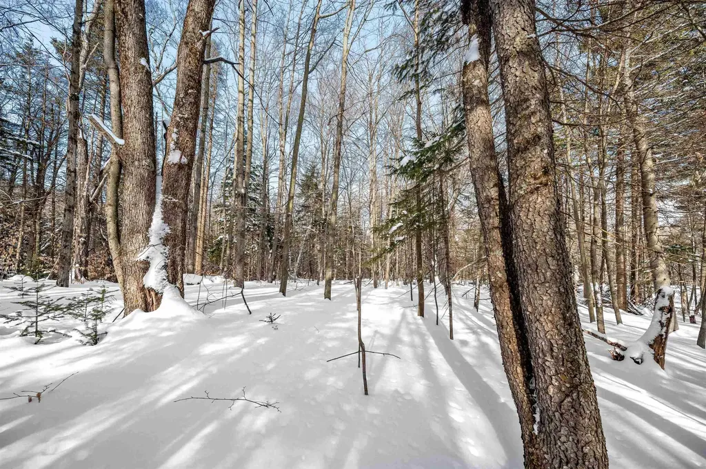 1984 West Hill Road Warren VT 05674