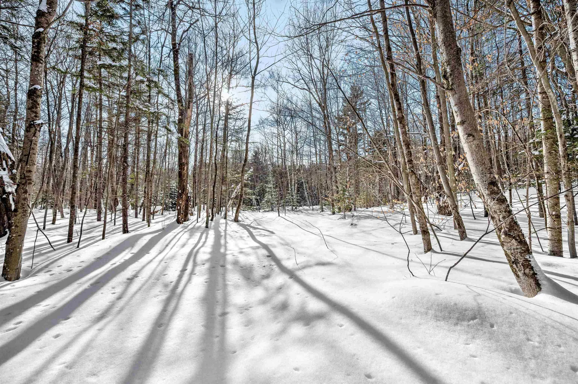 1984 West Hill Road Warren VT 05674