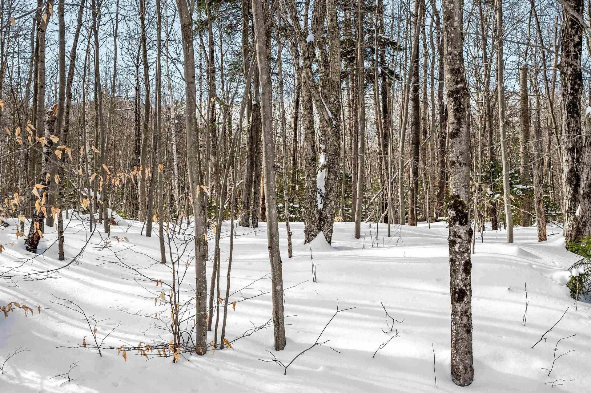 1984 West Hill Road Warren VT 05674