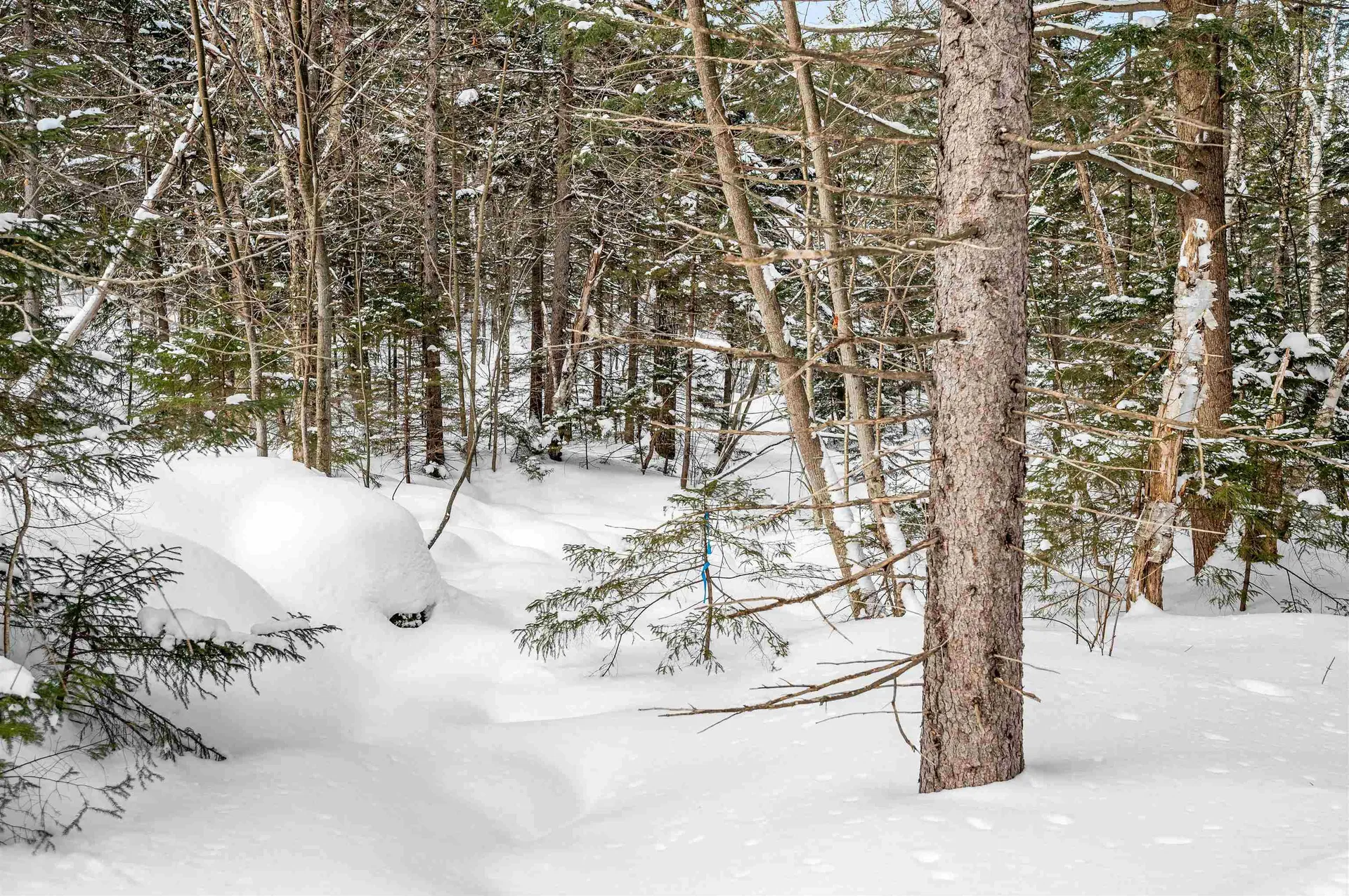 1984 West Hill Road Warren VT 05674