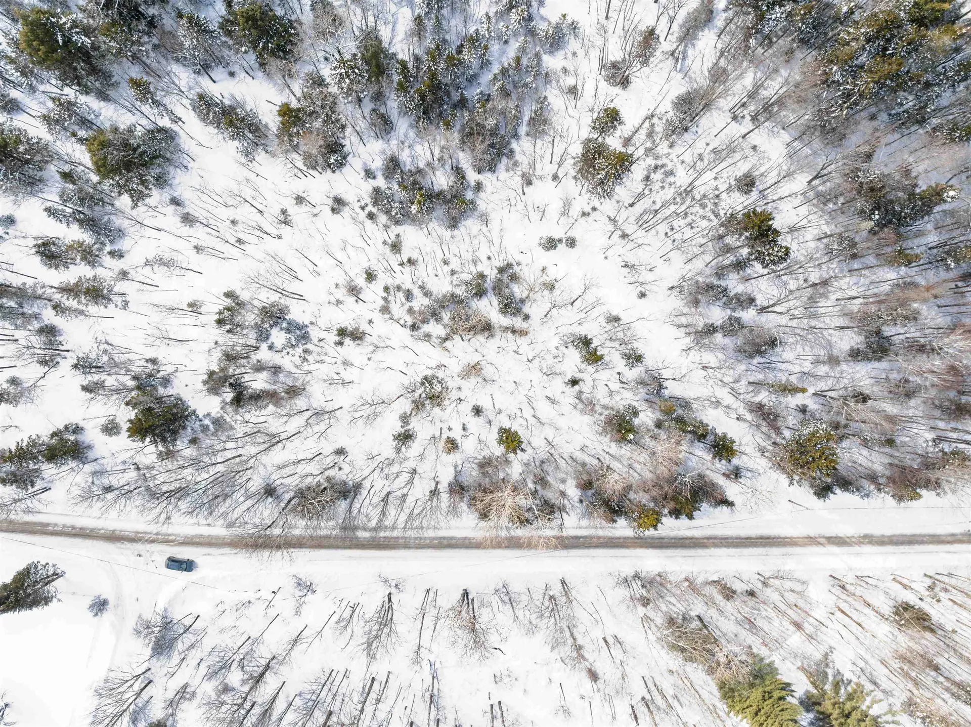 1984 West Hill Road Warren VT 05674