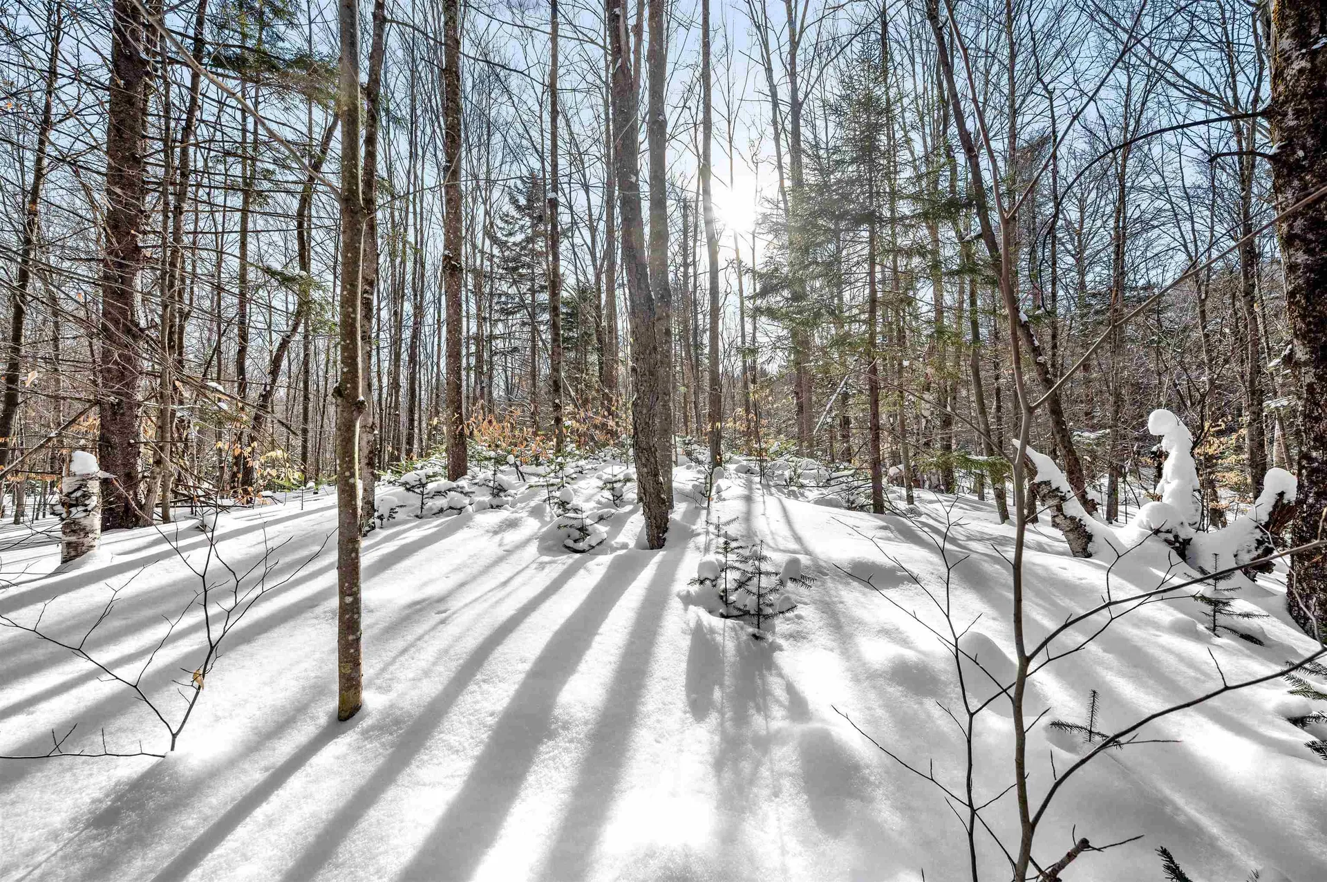 1984 West Hill Road Warren VT 05674