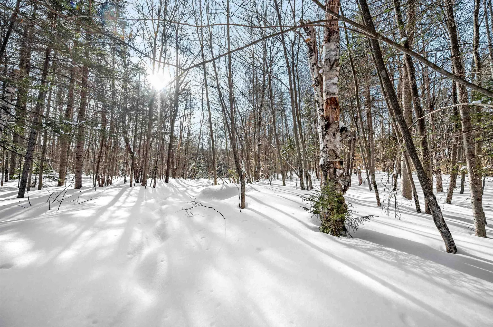 1984 West Hill Road Warren VT 05674