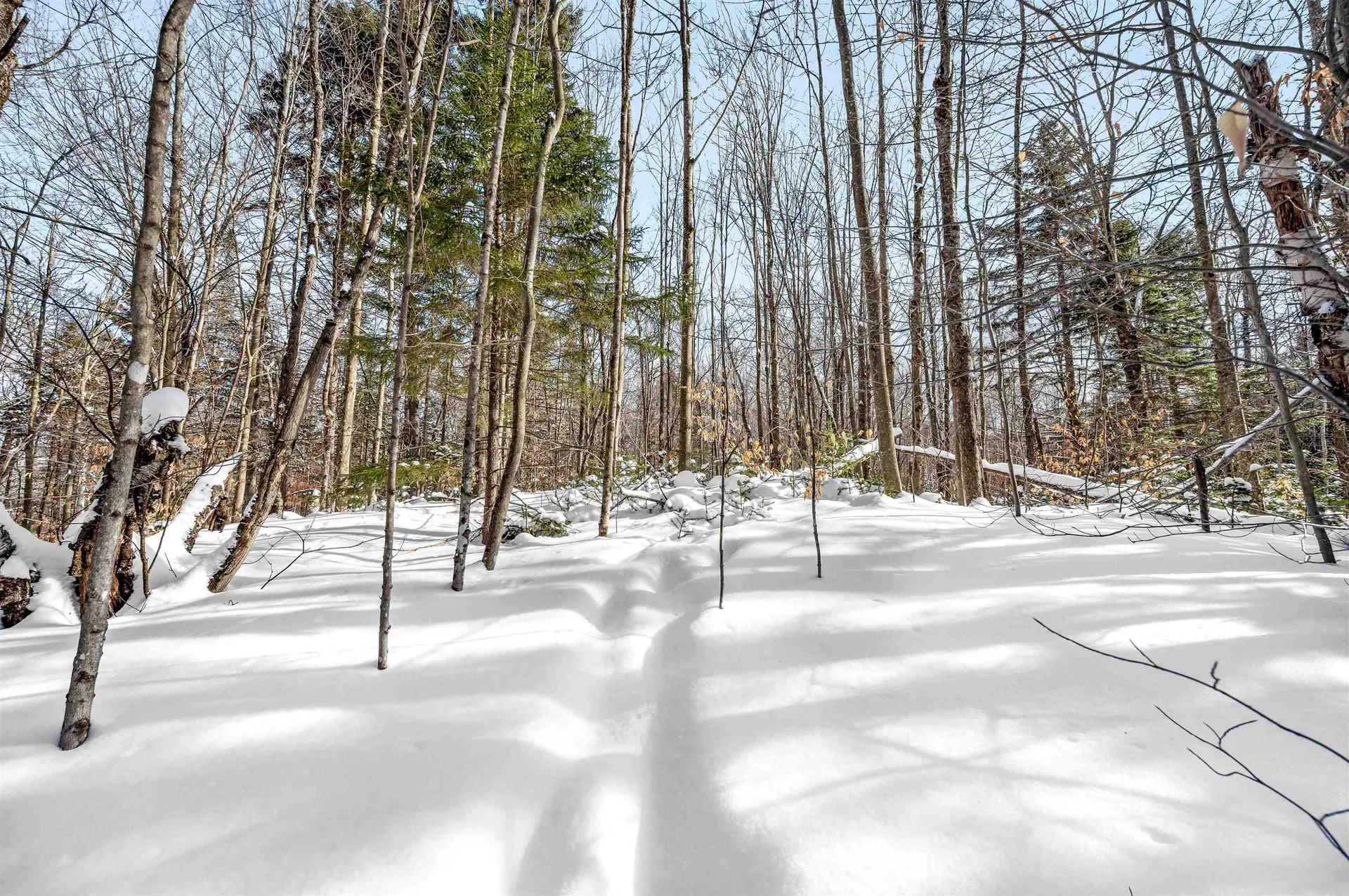 1984 West Hill Road Warren VT 05674