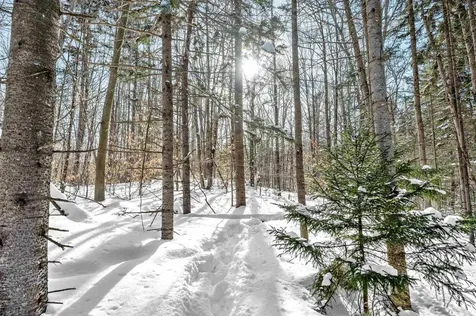 1984 West Hill Road Warren VT 05674