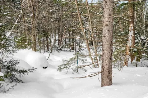 1984 West Hill Road Warren VT 05674