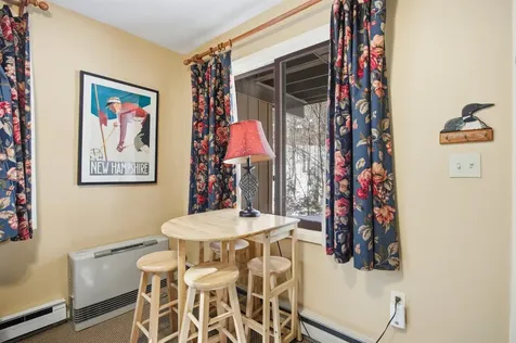 11 Haas Drive Lincoln NH 03251