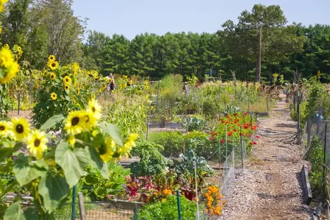 3 Brewster Road Tuftonboro NH 03816