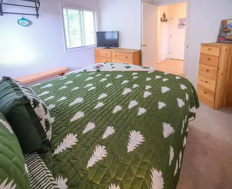 36 Okemo Trailside Extension Ludlow VT 05149