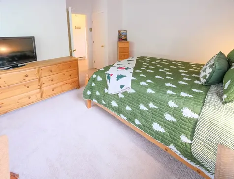 36 Okemo Trailside Extension Ludlow VT 05149