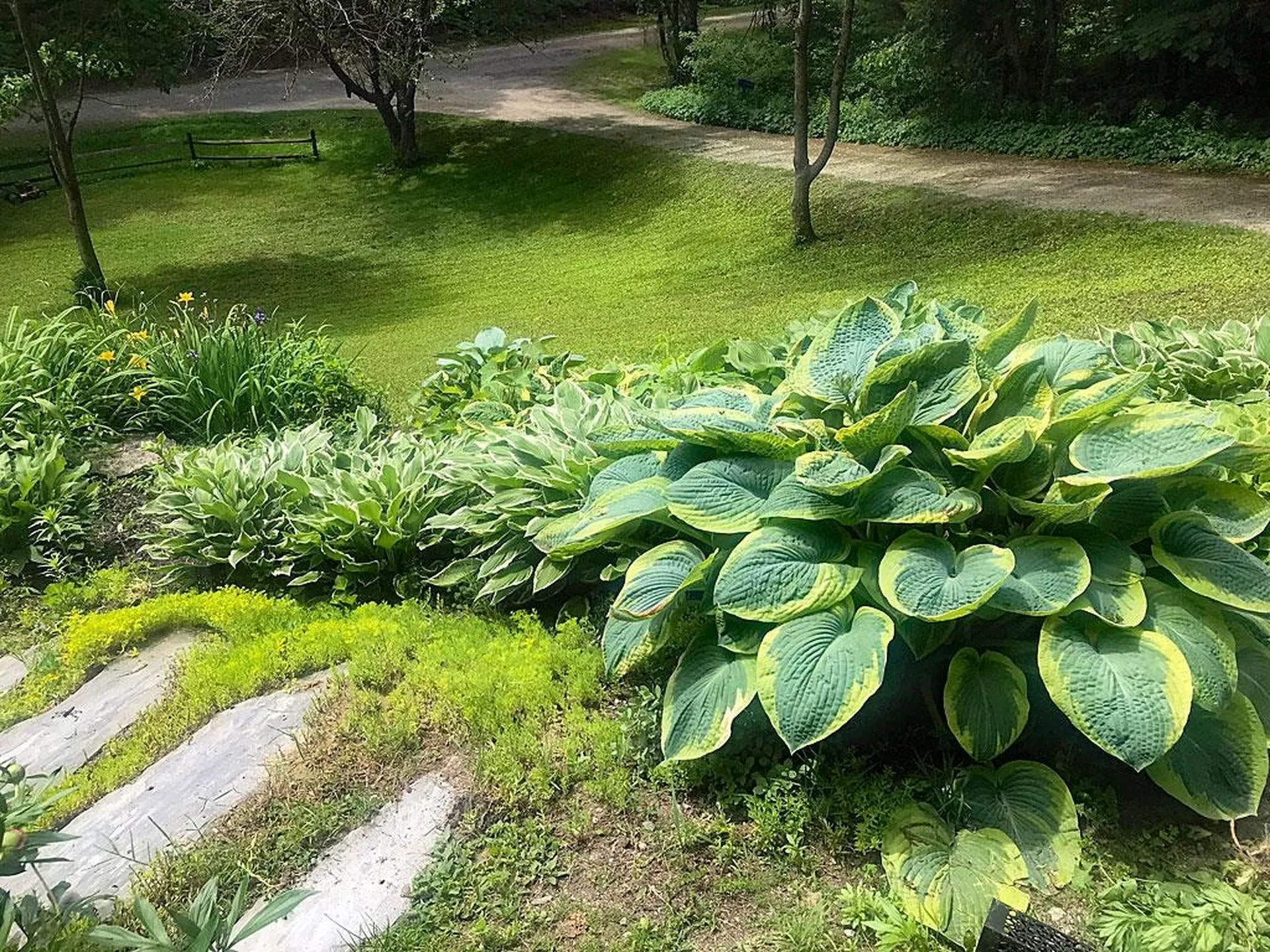 60 Irish Lane Wallingford VT 05773