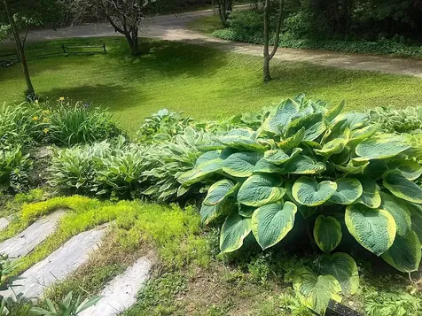 60 Irish Lane Wallingford VT 05773