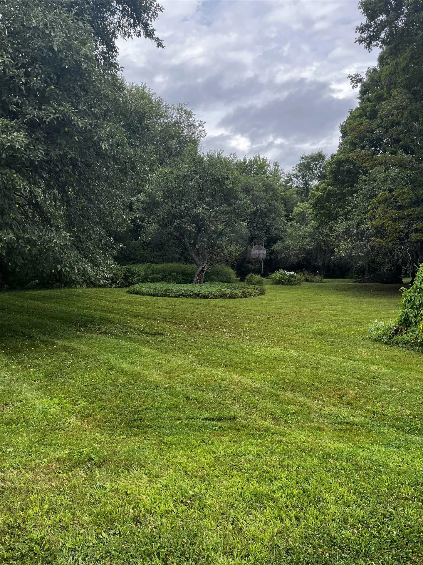 771 Old Deuso Road Eden VT 05652