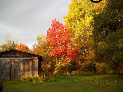 771 Old Deuso Road Eden VT 05652