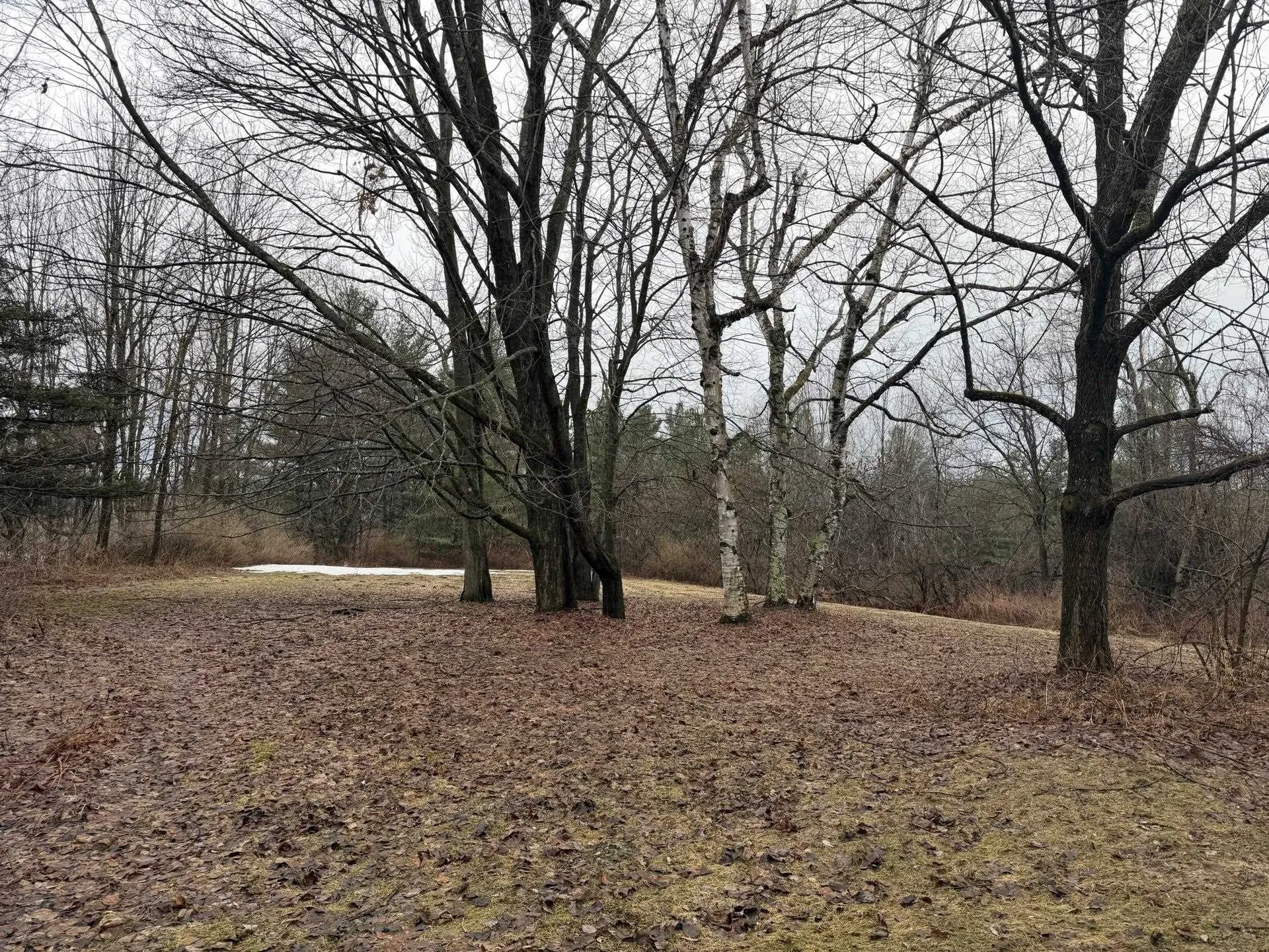 4168 Darling Hill Road Derby VT 05829