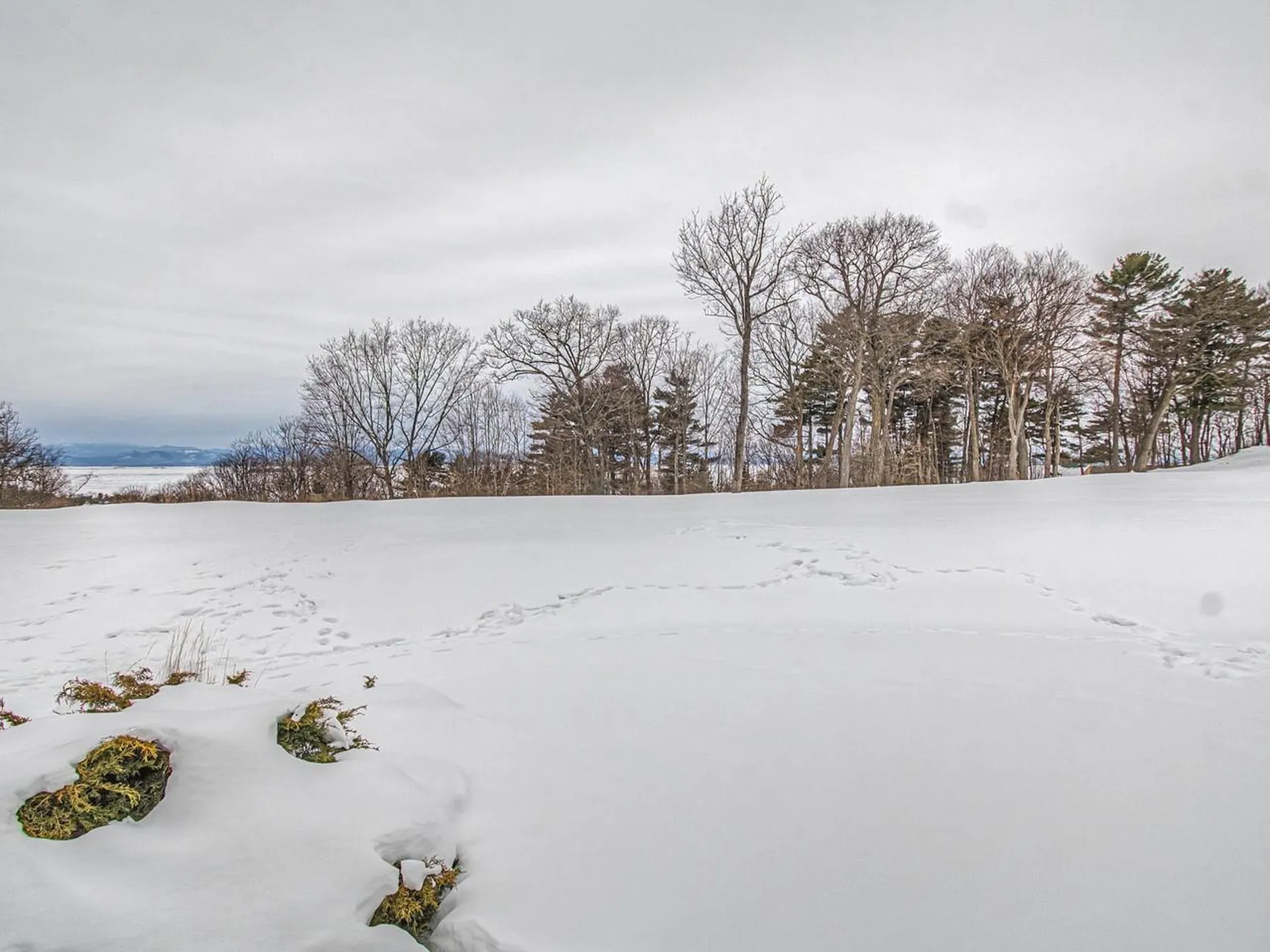 545 South Prospect Street Burlington VT 05401