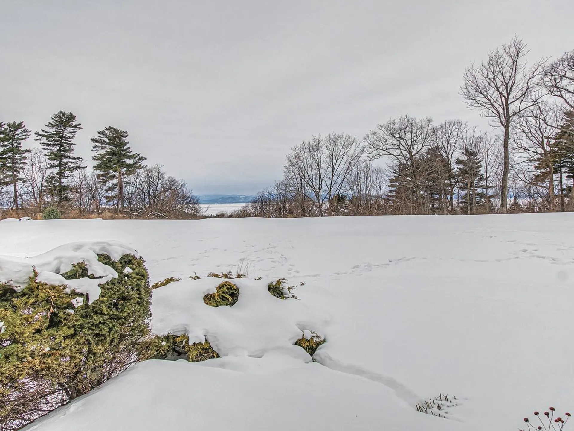 545 South Prospect Street Burlington VT 05401