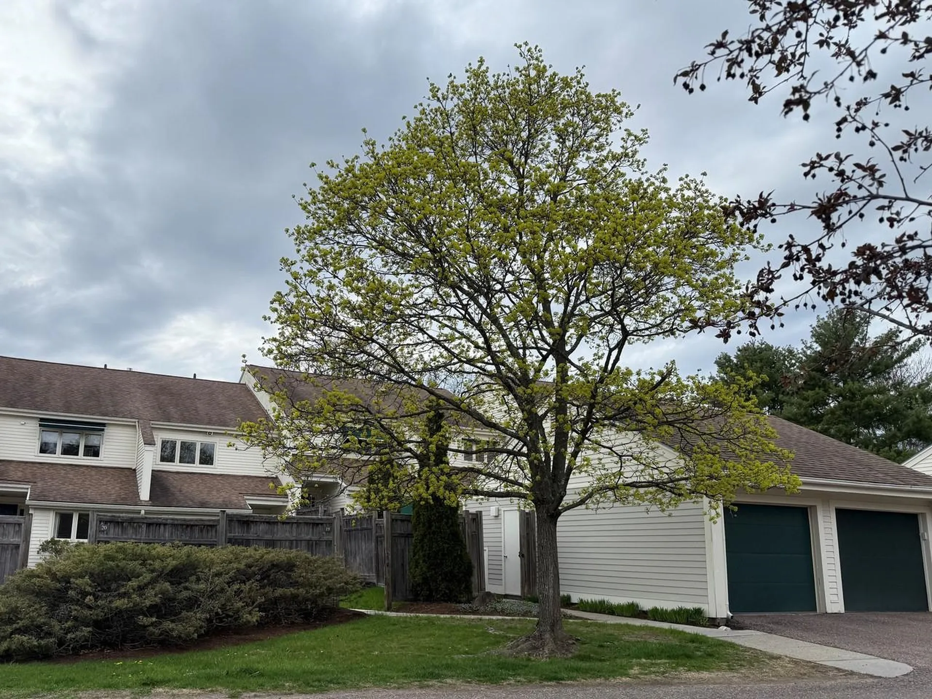 545 South Prospect Street Burlington VT 05401