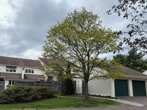 545 South Prospect Street Burlington VT 05401
