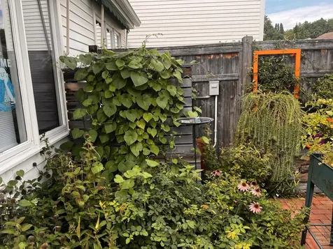 545 South Prospect Street Burlington VT 05401