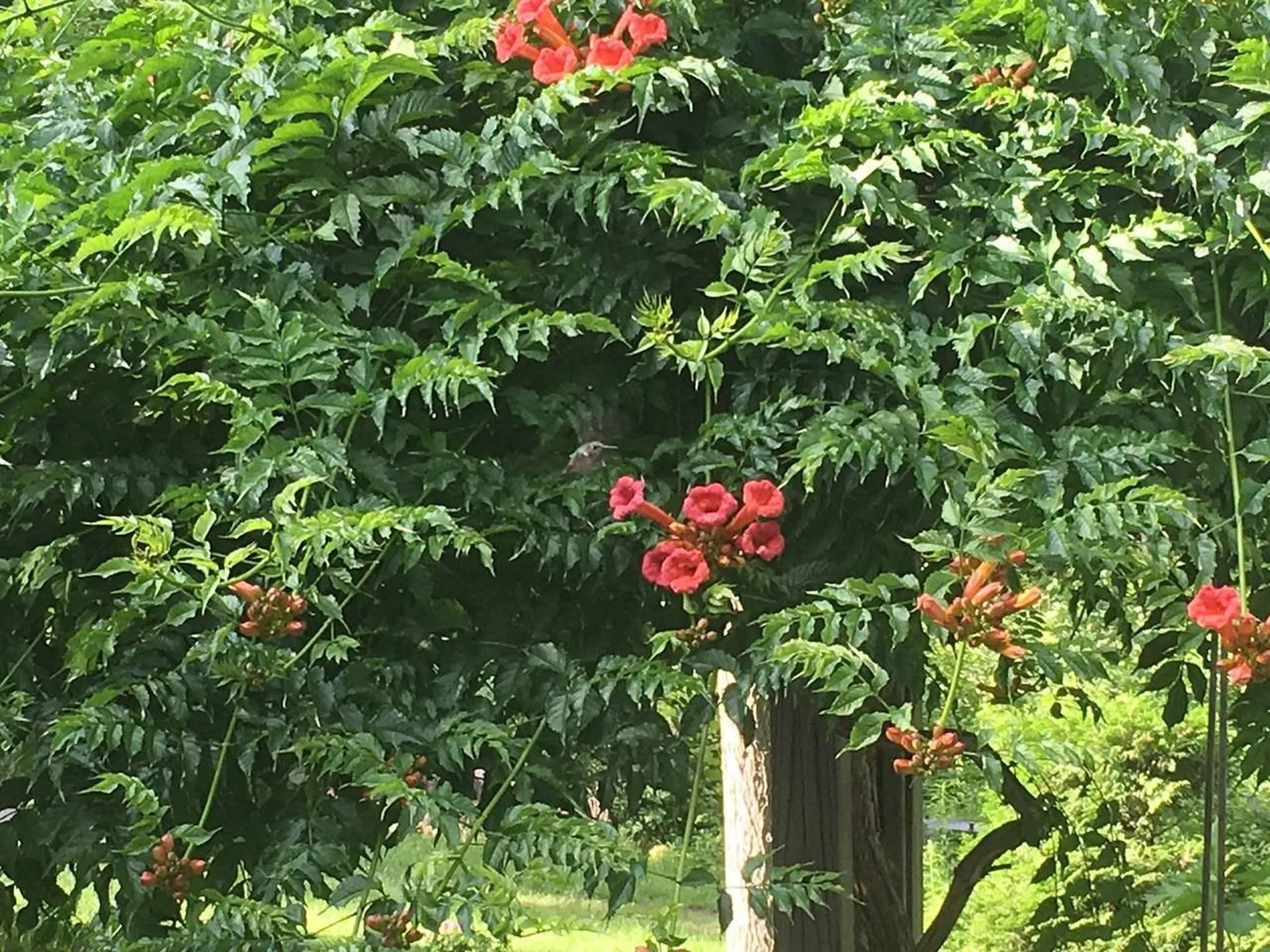 499 Plank Road Ferrisburgh VT 05491