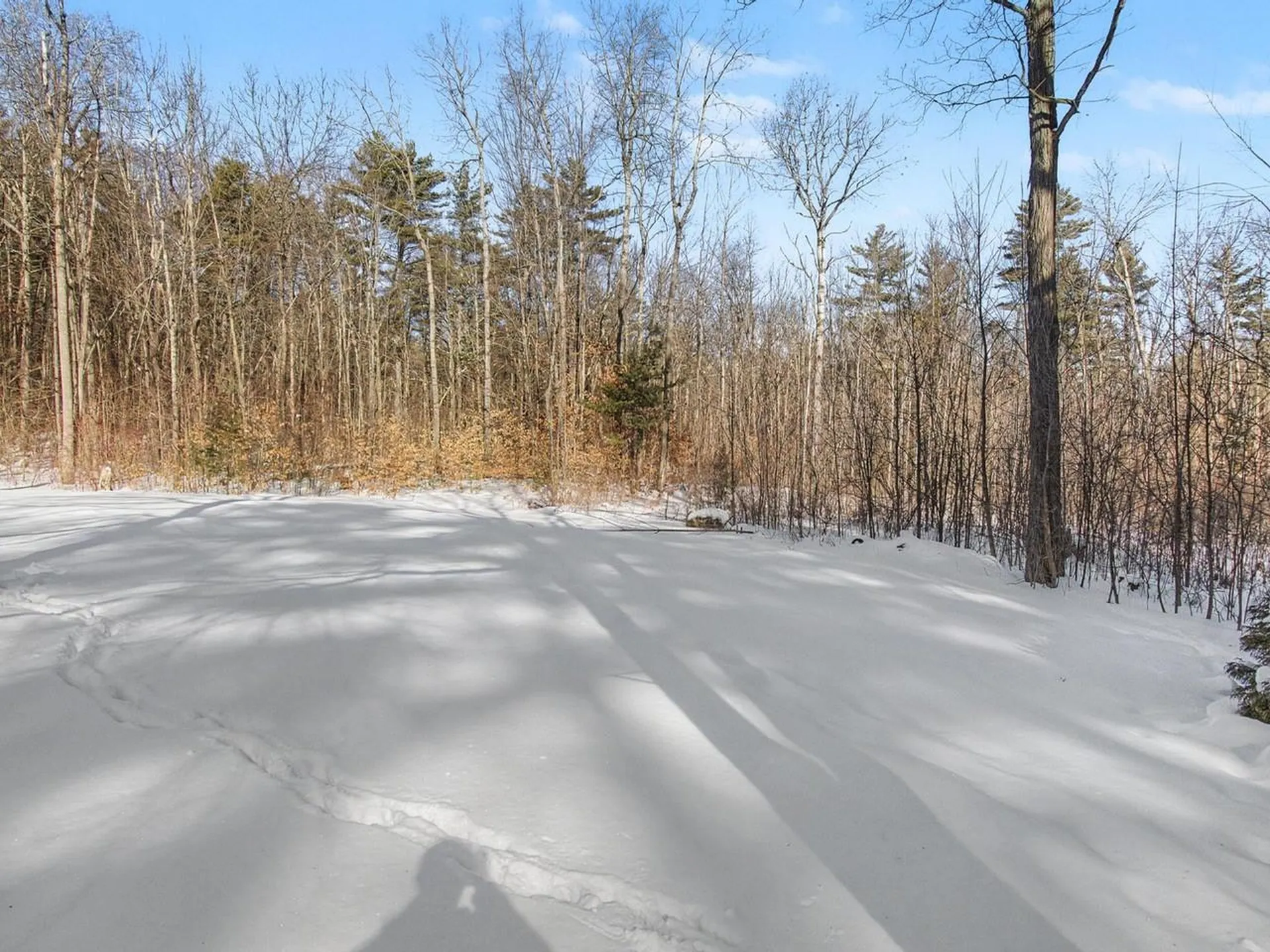 499 Plank Road Ferrisburgh VT 05491