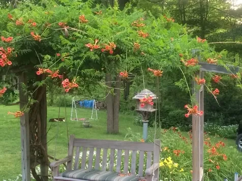 499 Plank Road Ferrisburgh VT 05491