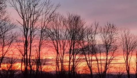 977 Bates Road Shoreham VT 05770