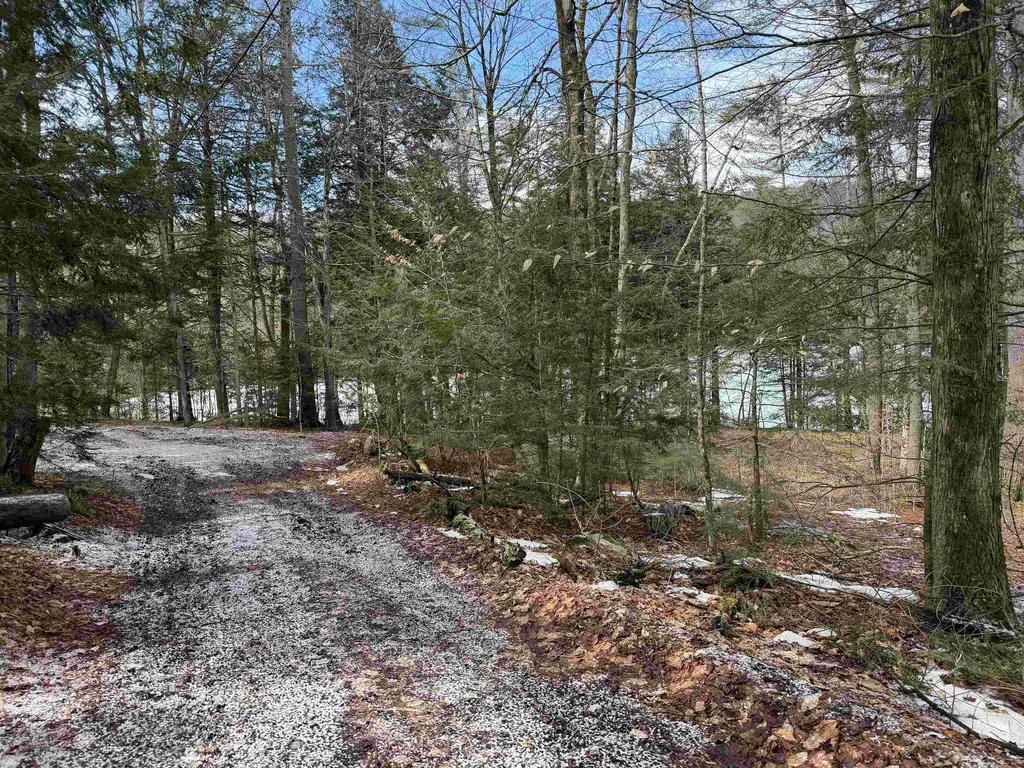 380 Columbia Drive Hubbardton VT 05732