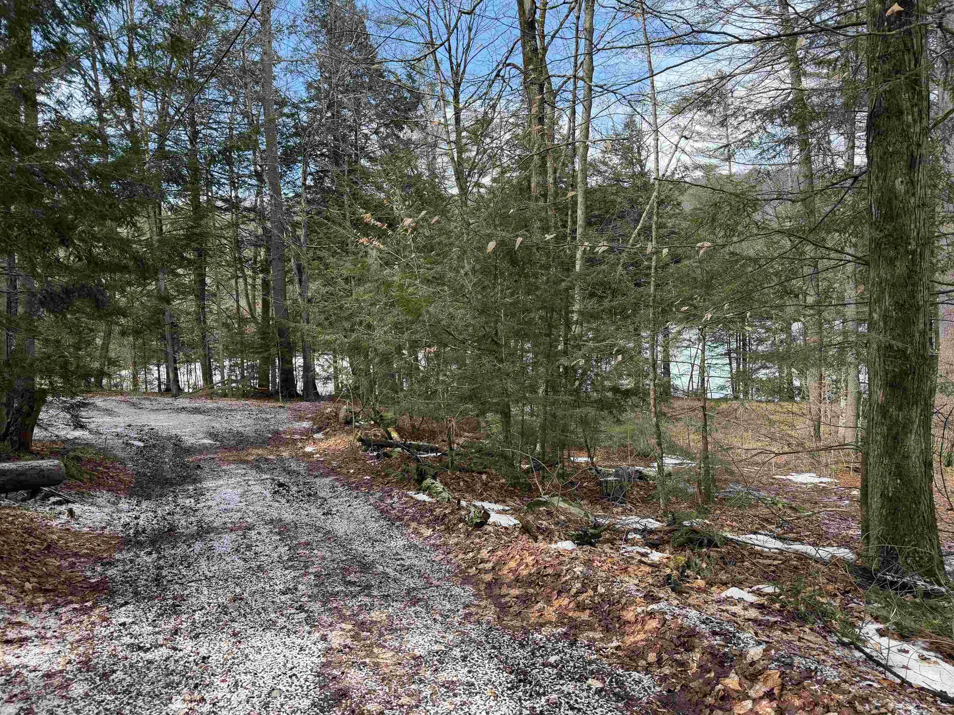 380 Columbia Drive Hubbardton VT 05732