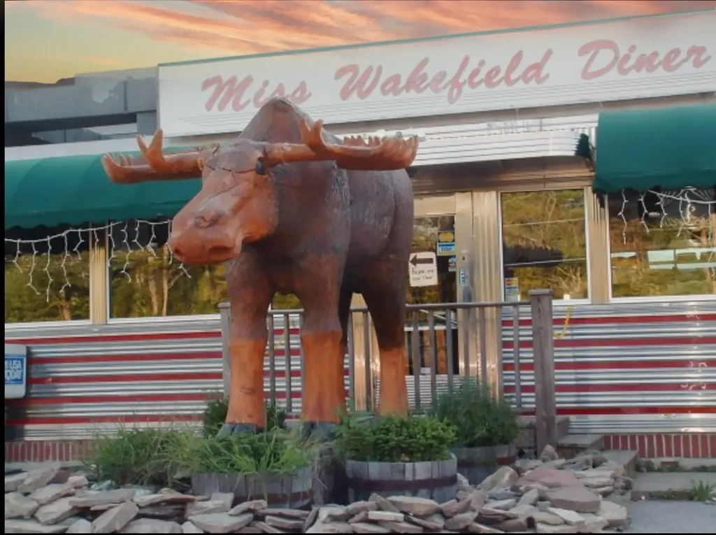 7 Windy Hollow Road Wakefield NH 03872