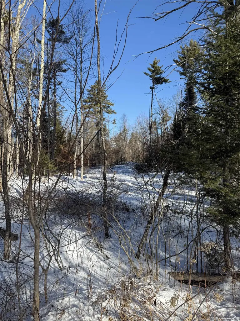 00 Hobbs Road Effingham NH 03882