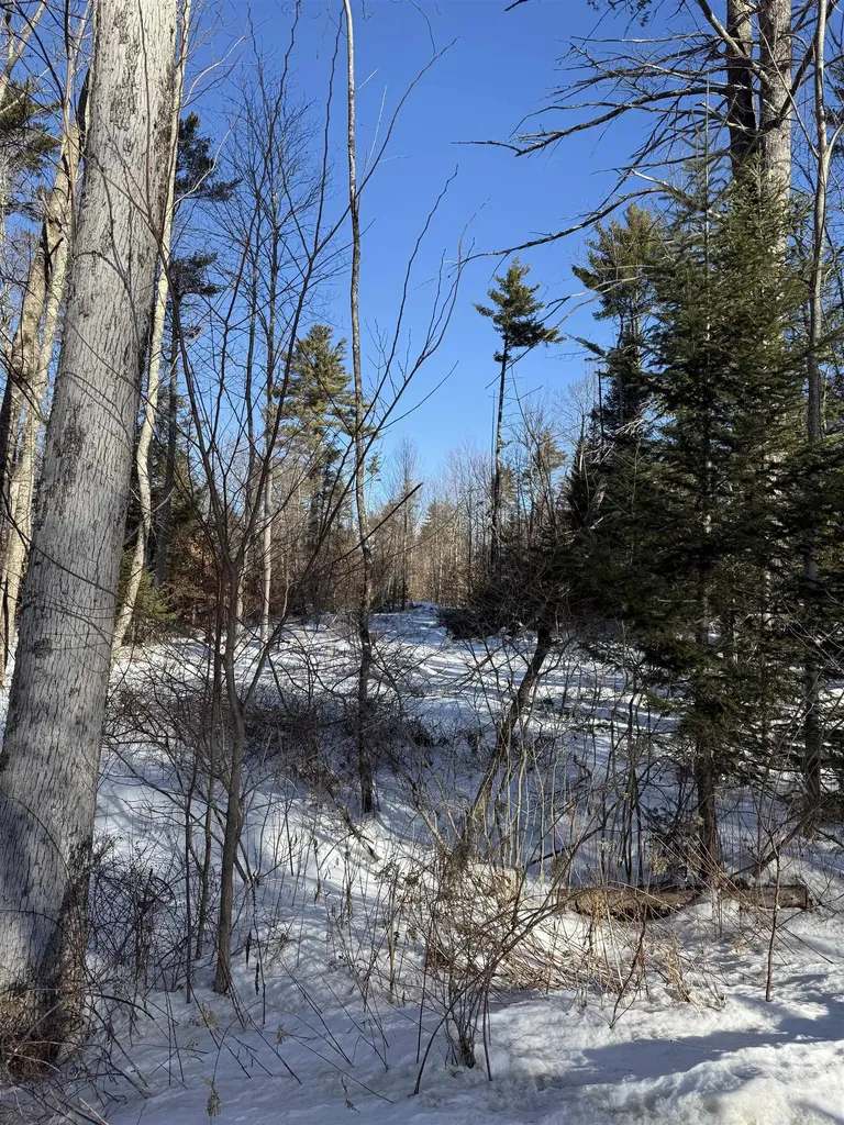 00 Hobbs Road Effingham NH 03882