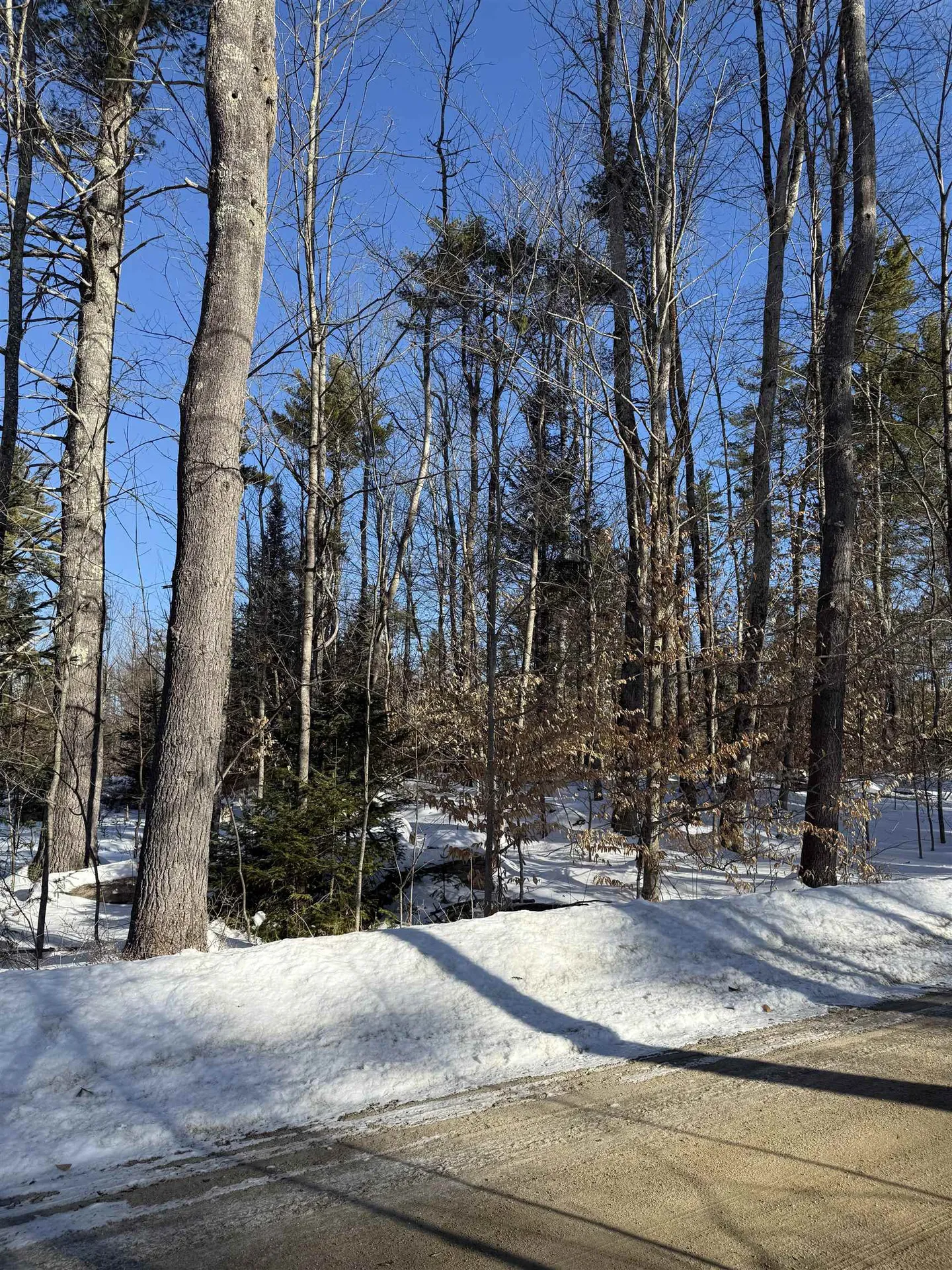 00 Hobbs Road Effingham NH 03882