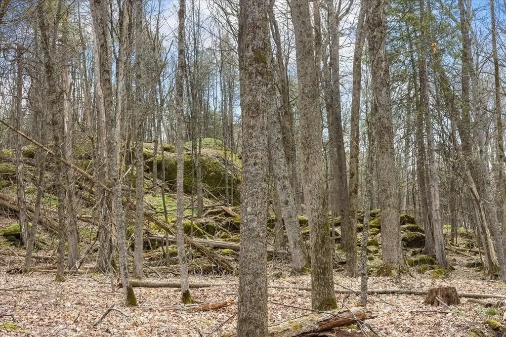 0 Bullock Road Georgia VT 05468