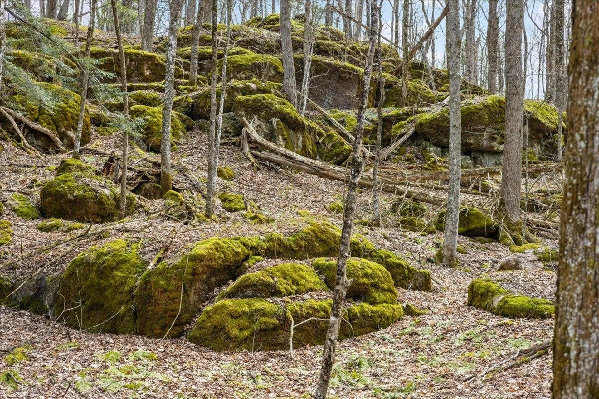 0 Bullock Road Georgia VT 05468