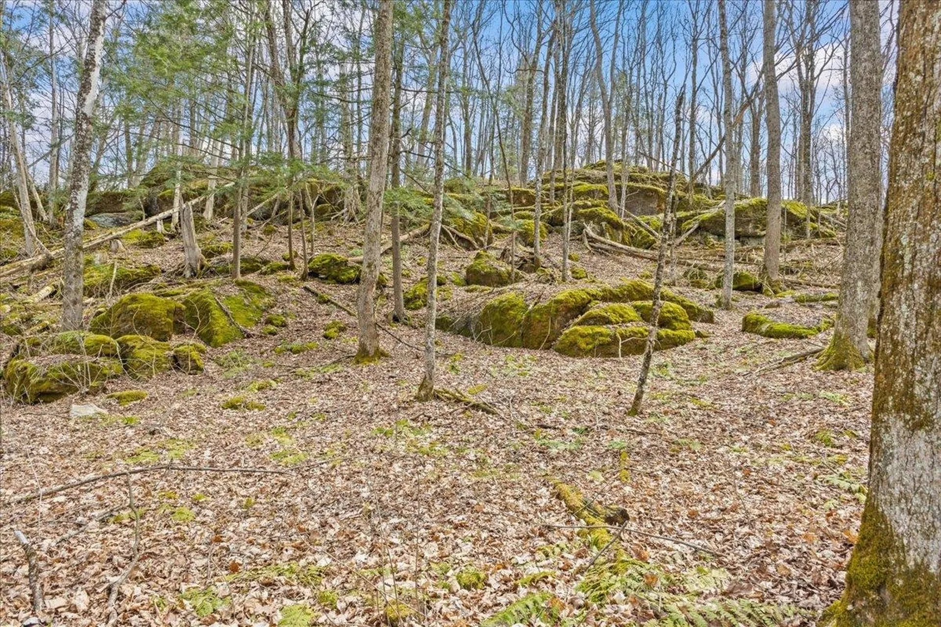 0 Bullock Road Georgia VT 05468